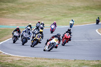 Advanced Group White Bikes